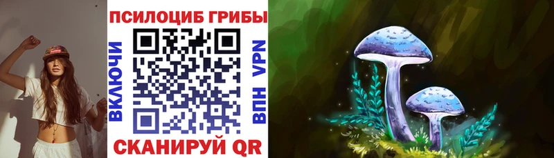 Псилоцибиновые грибы Psilocybine cubensis  Весьегонск 
